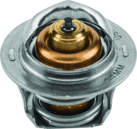 QuadBoss 17-19 Polaris ACE 500 Thermostat