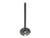 BRONCO Exhaust Valve AU-09224E for ATV and UTV Models