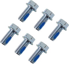 MOOSE RACING Rotor Bolts - Front/Rear - Honda/KTM/TM 039-6A06