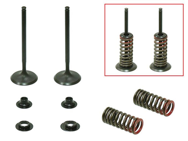 Psychic Products XU-09523IK Intake Valve Kit