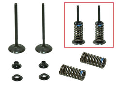 Psychic Products XU-09523-1IK Intake Valve Kit