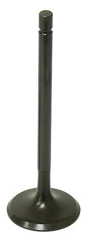 Intake Valve