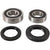 PIVOT WORKS Rear Wheel Bearing Kit PWRWK-Y08-421