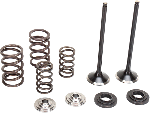 MOOSE RACING Valve and Spring Kit M96-96460 - Stainless Steel Conversion for Enhanced Performance