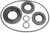 MOOSE RACING Differential Seal Kit - Can-Am - Front/Rear 25-2106-5