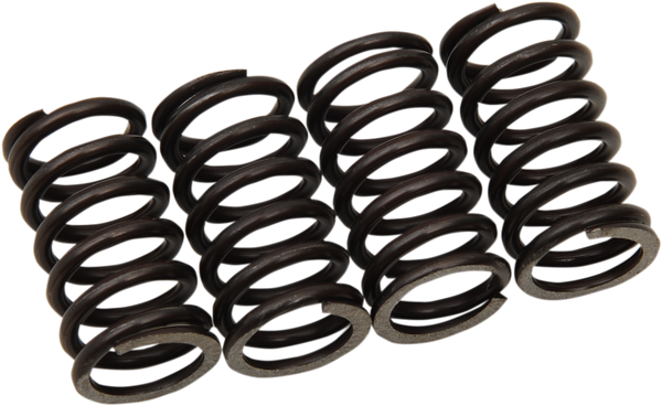 MOOSE RACING MHDS102-4 Clutch Springs for Enhanced Performance