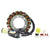 RMSTATOR High Output Stator 300 W - Part RM01017