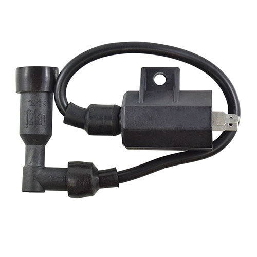 RMSTATOR RM06015 External Ignition Coil with Cap