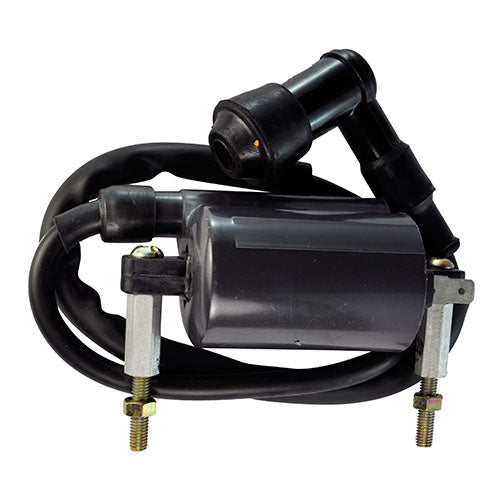 RMSTATOR RM06017 External Ignition Coil with Spark Plug Cap