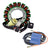 RMSTATOR RM22809 HO Stator and Ignition Coil Combo