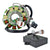 RMSTATOR High Output Stator 100W + HP CDI Box RM23004