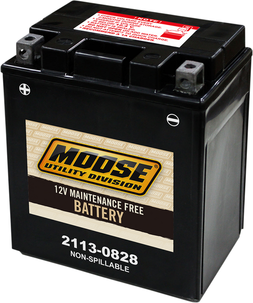 MOOSE UTILITY AGM Battery - CTX14AH (FA)