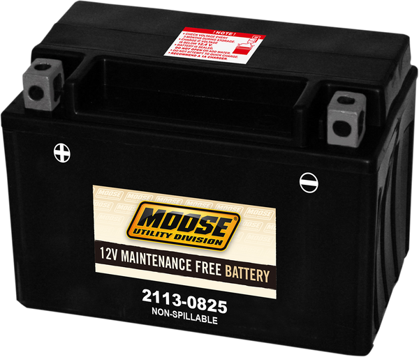 MOOSE UTILITY AGM Battery - CTX9