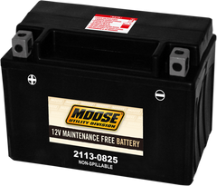 MOOSE UTILITY AGM Battery - CTX9