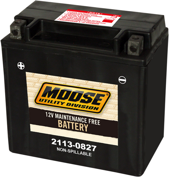 MOOSE UTILITY AGM Battery - CTX14 for Reliable Power