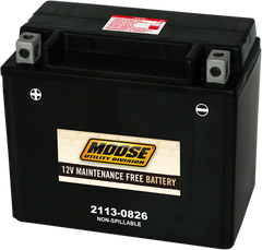 MOOSE UTILITY AGM Battery - CTX12