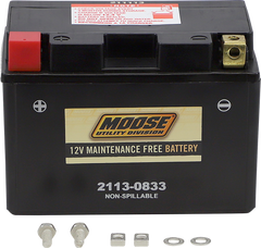 MOOSE UTILITY AGM Battery - CTZ14S for Reliable Power