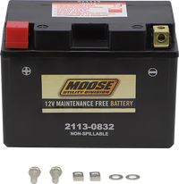 MOOSE UTILITY AGM Battery - CTZ12S for Reliable Power
