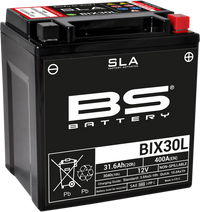 BS BATTERY BIX30L (YIX) 300631 - Maintenance Free AGM Battery