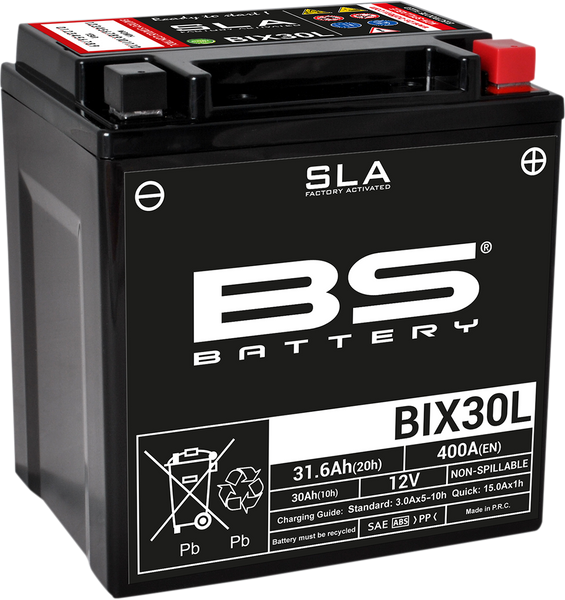 BS BATTERY BIX30L (YIX) 300631 - Maintenance Free AGM Battery