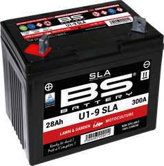 BS BATTERY U1-9 300901 AGM Battery - Maintenance Free & Eco-Friendly