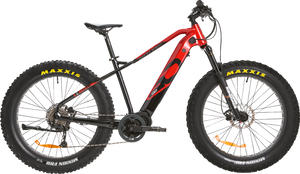 IGO ELECTRIC BIKES