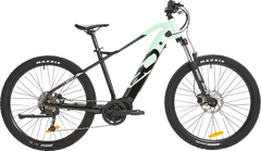 IGO Electric Bikes Outland Sawback RS E-Bike - Hardtail eMTB 100-322-200