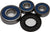 ALL BALLS Rear Wheel Bearing/Seal Kit 25-1347