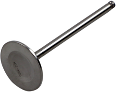 DEL WEST Intake Valve DWYFZ450R21IV03