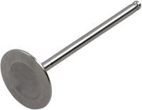 DEL WEST Intake Valve DW-YFZ450R-2-2IVO3