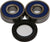 ALL BALLS Rear Wheel Bearing/Seal Kit 25-1323