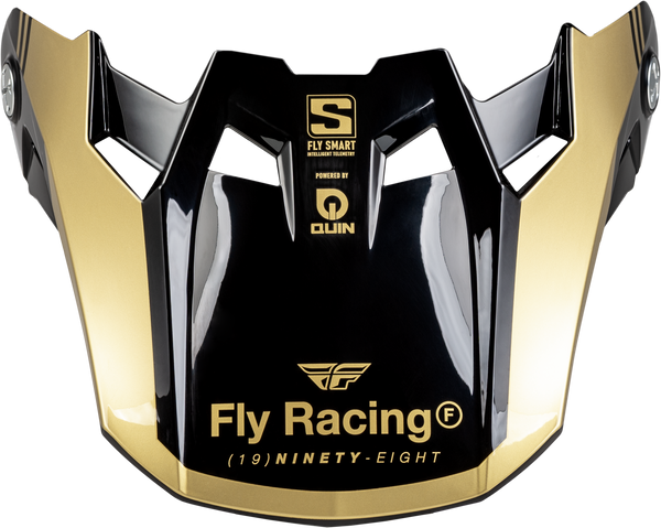 FLY RACING Formula S Carbon Legacy Visor - Black/Gold Yl/Sm