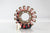 RICKS 21-136 Stator - High-Quality Replacement for OEM Parts