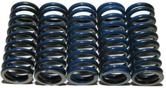 HINSON CS294-5-0109 High Temp Springs - Set of 5 for Enhanced Clutch Performance