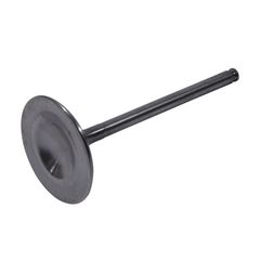 HOT CAMS Titanium Intake Valve 8400027-2