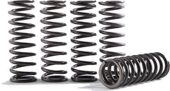 HINSON High Temperature Spring Kit CS189-6-0613