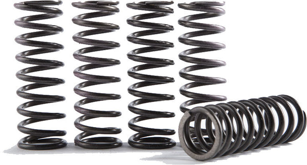 HINSON CS373-1-0116 High Temp Spring 1 Spring for Enhanced Performance