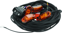 DragonFire Racing Whip Harness - 4 Seat- Dual