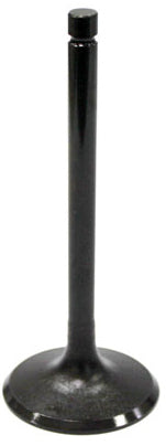 Intake Valve