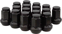 10mmx1.25 Tapered Lug Nuts Black 60  14mm Head 16/Pk