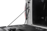 Rough Country | Tailgate Assist | Ford F-150 2WD/4WD (2004-2014) | 73214