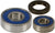 ALL BALLS 25-1326 Wheel Bearing & Seal Kit