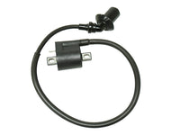 Atv Ignition Coil