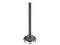 Intake Valve Suz