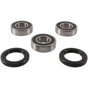 PIVOT WORKS Rear Wheel Bearing Kit PWRWK-S09-021