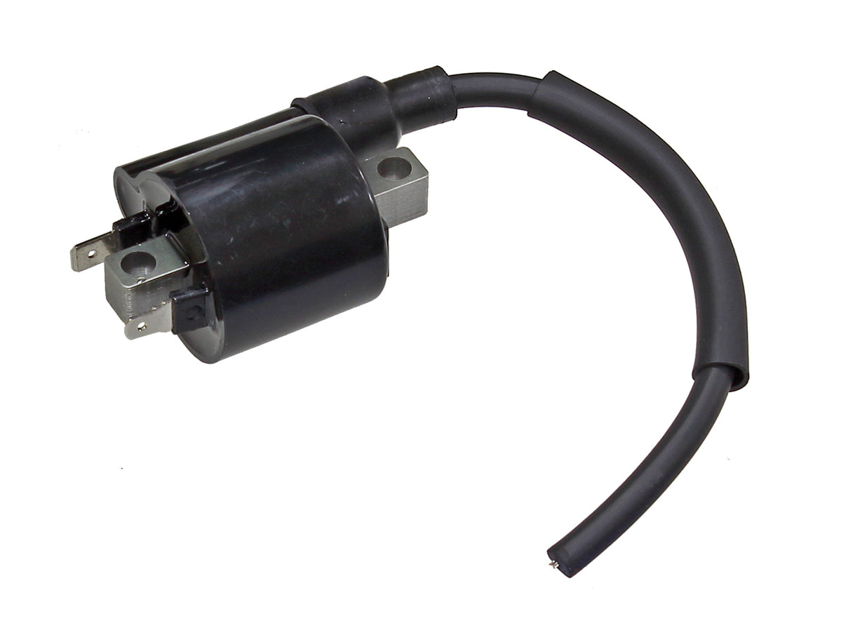 Atv Ignition Coil
