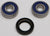 ALL BALLS Front Wheel Bearing/Seal Kit 25-1170