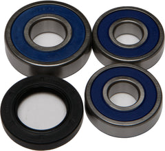 ALL BALLS Wheel Bearing & Seal Kit 25-1362